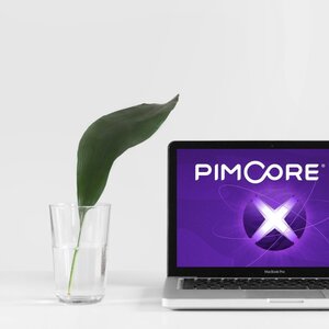 Als Webentwicklung Agentur lieben wir das Erstellen von Webseiten in Pimcore.